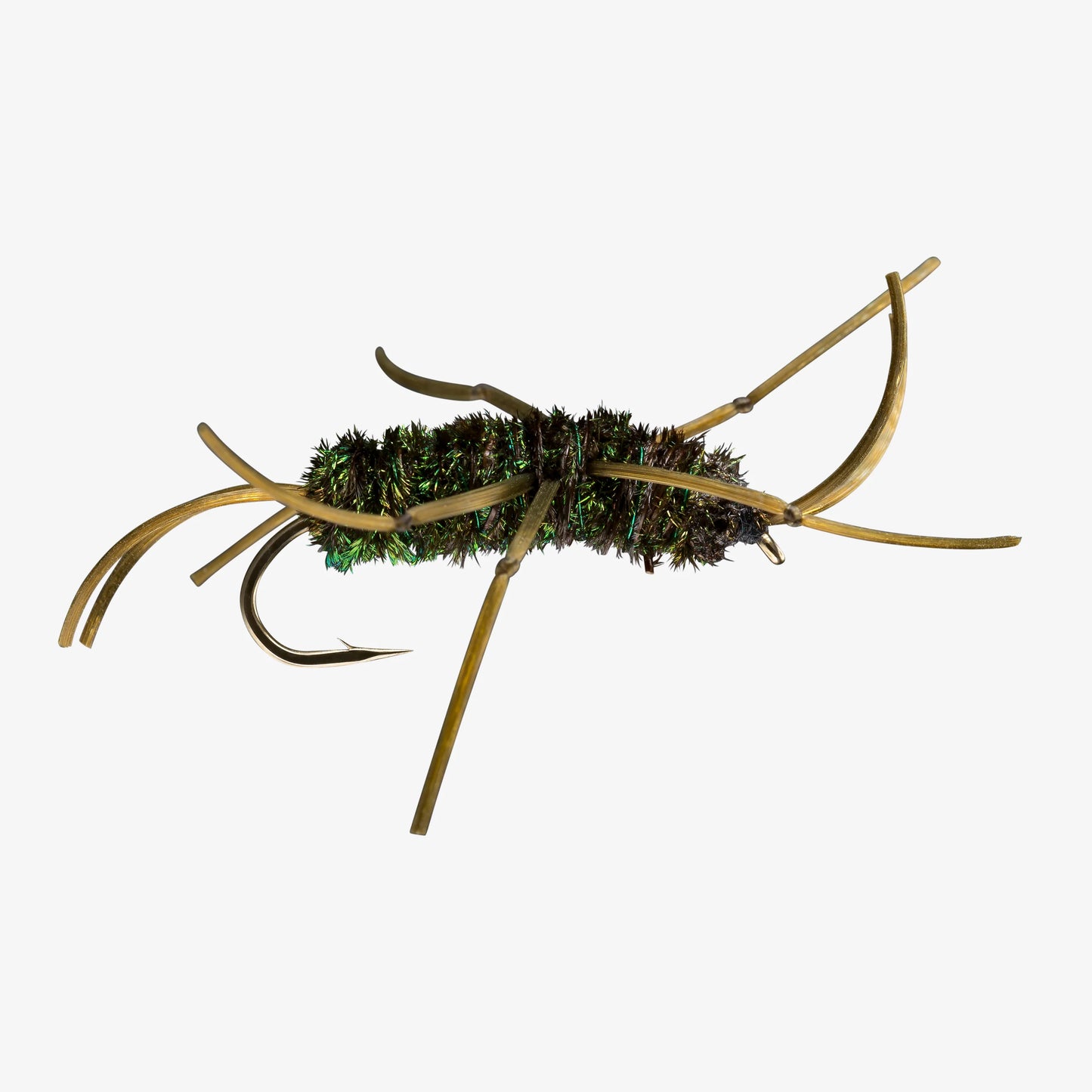 Girdle Bug. (AKA) Pat's Rubber Legs