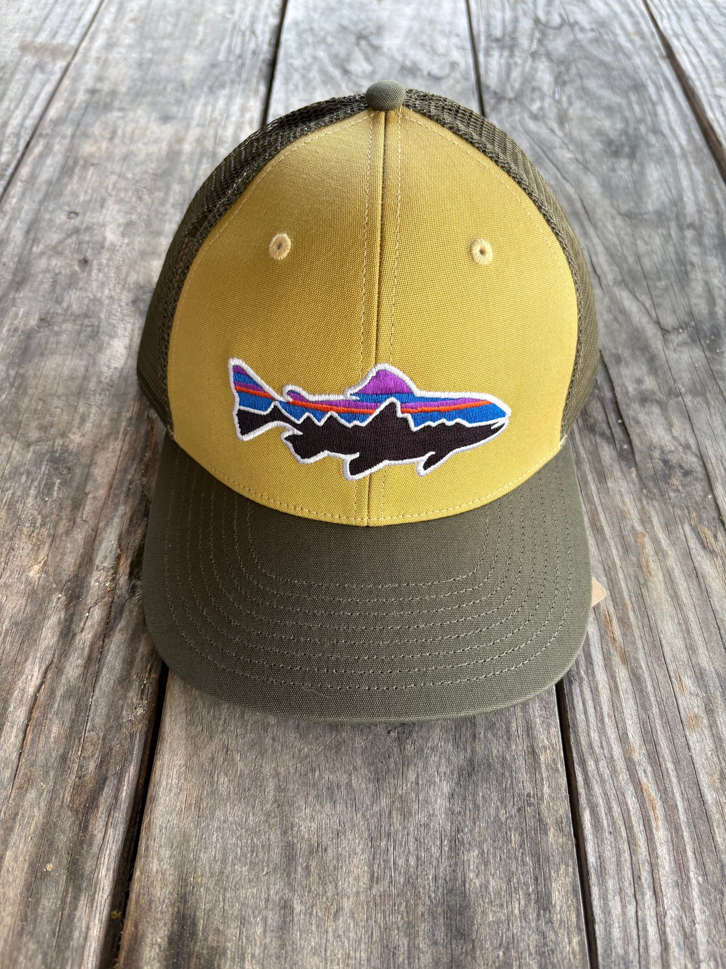 Patagonia Fitz Roy Trout Trucker