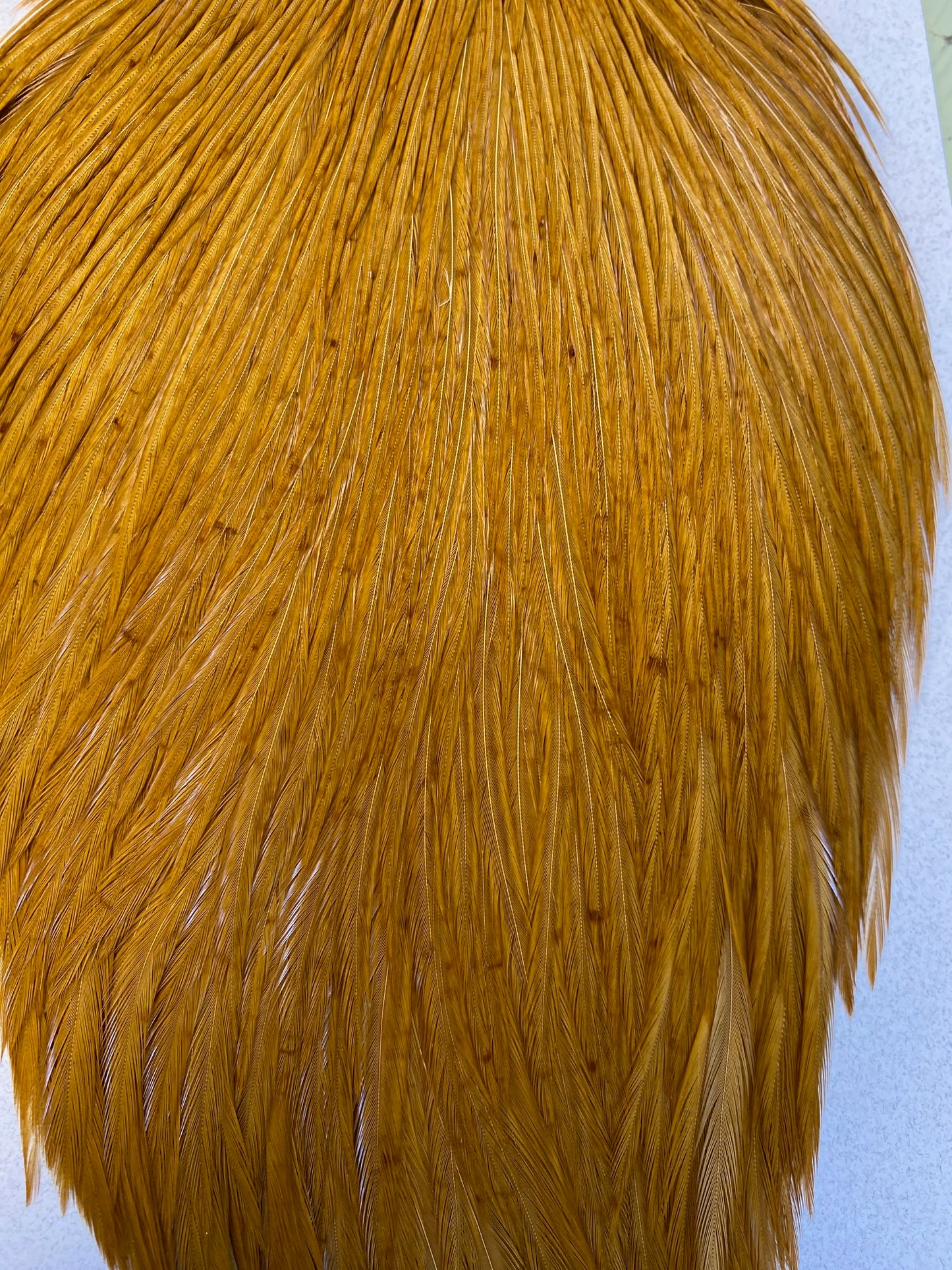 Keogh Tyers Grade Cape
