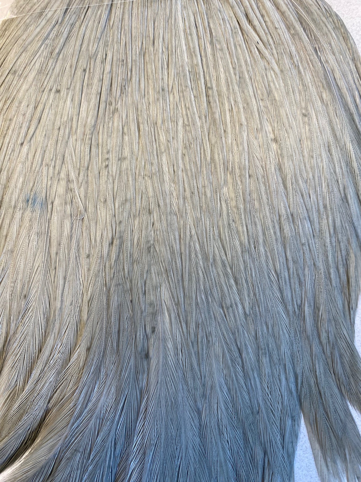 Keogh Tyers Grade Cape