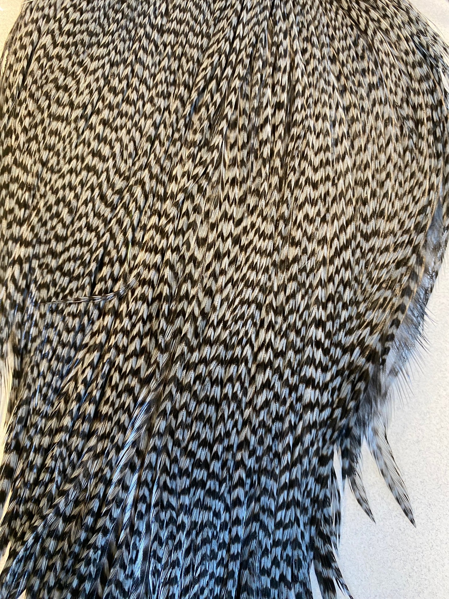 Keogh Tyers Grade Cape