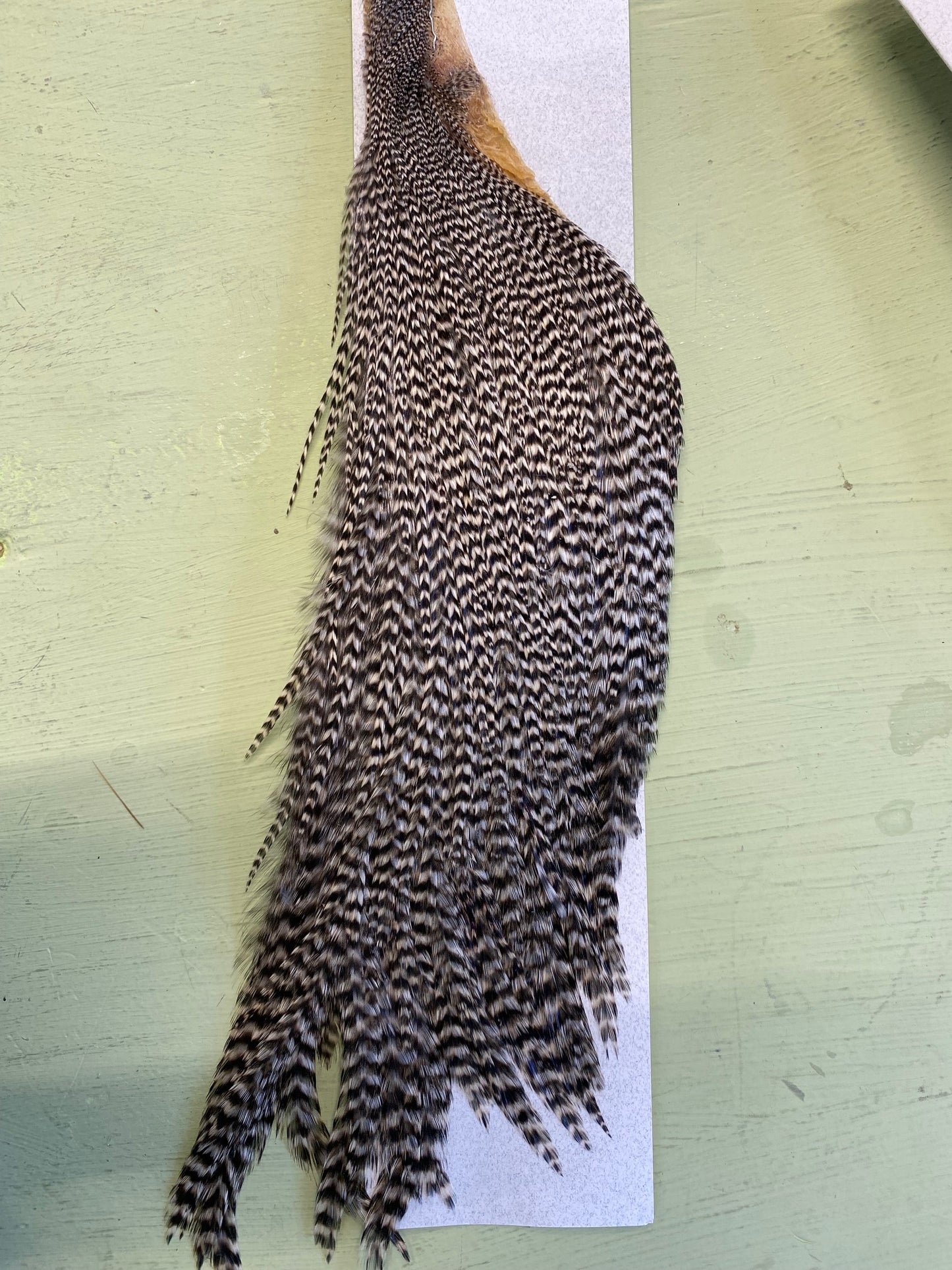 Keogh Tyers Grade Cape