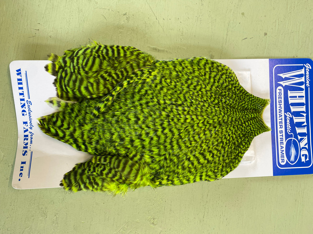 Freshwater Streamer Cape