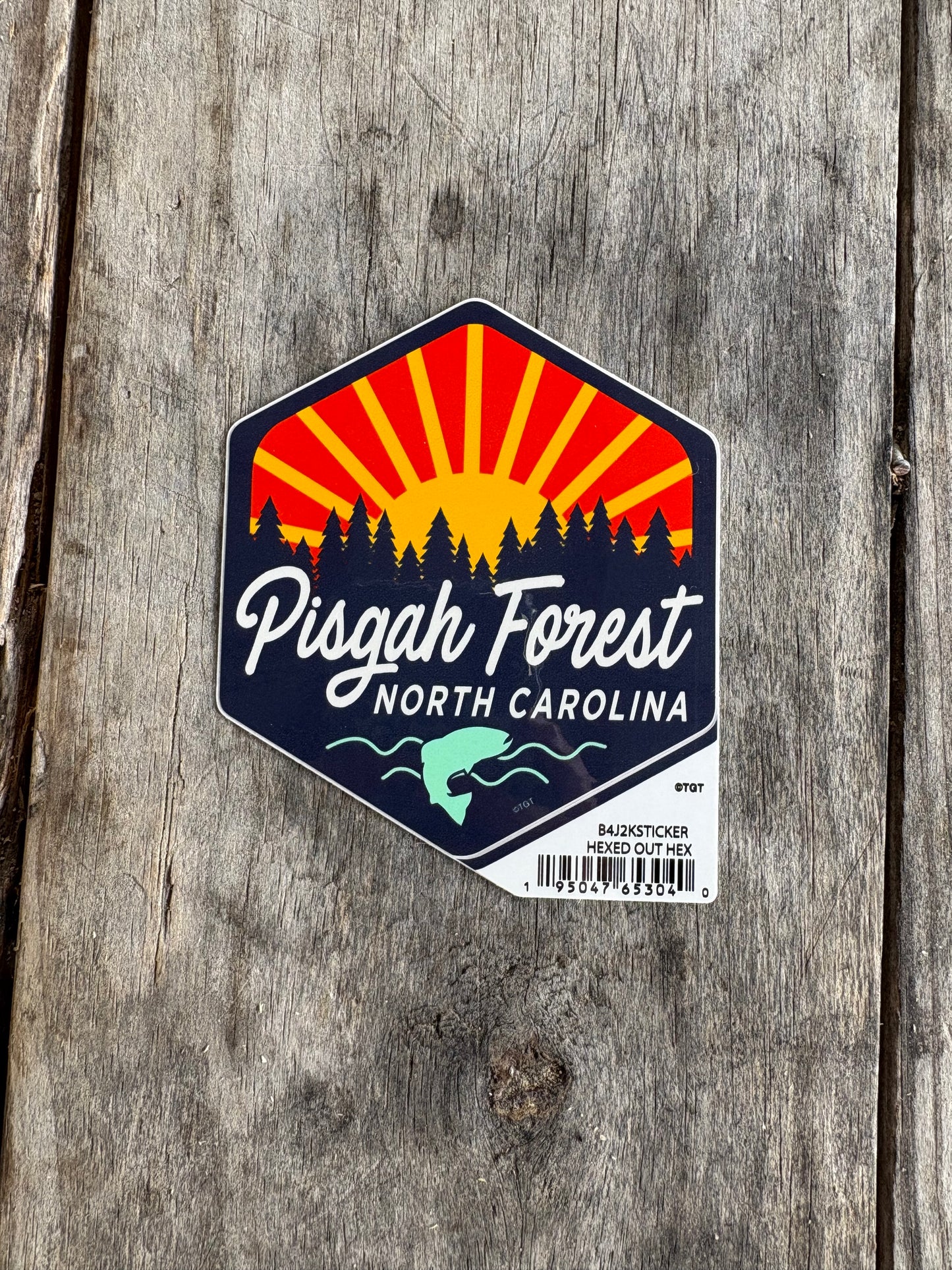 Pisgah Forest Hexed Out Sticker