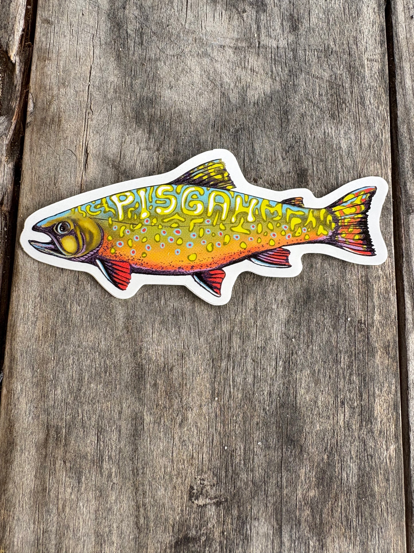 Pisgah Brookie Sticker