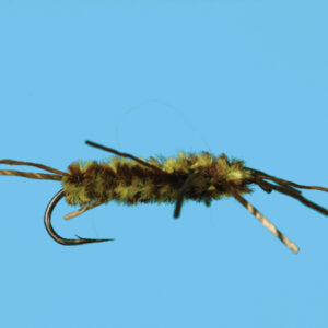 Girdle Bug. (AKA) Pat's Rubber Legs