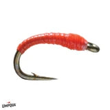 Pure Midge Larva