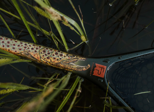 Nomad Middlefork Net~Hook Jaw Edition