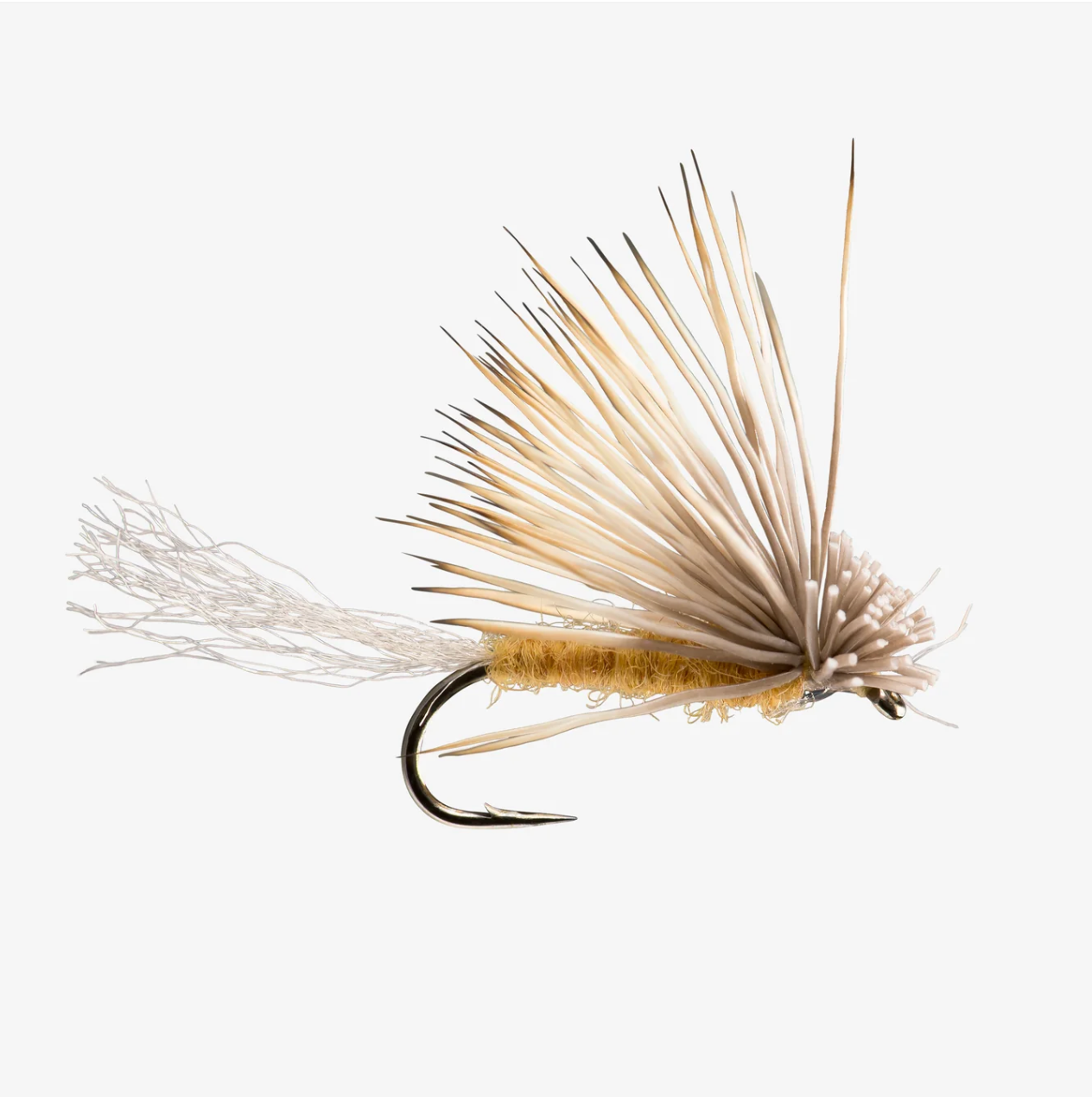 X Caddis