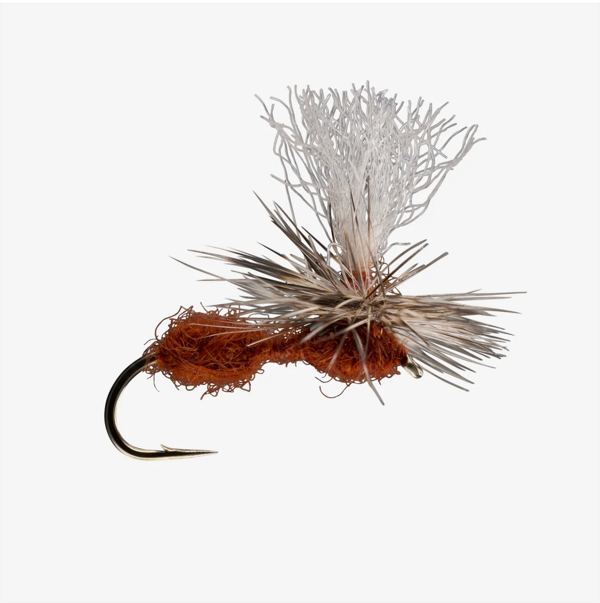 Parachute Ant
