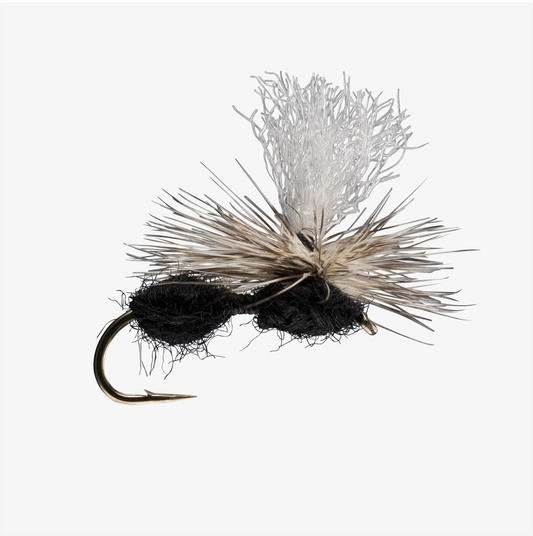 Parachute Ant