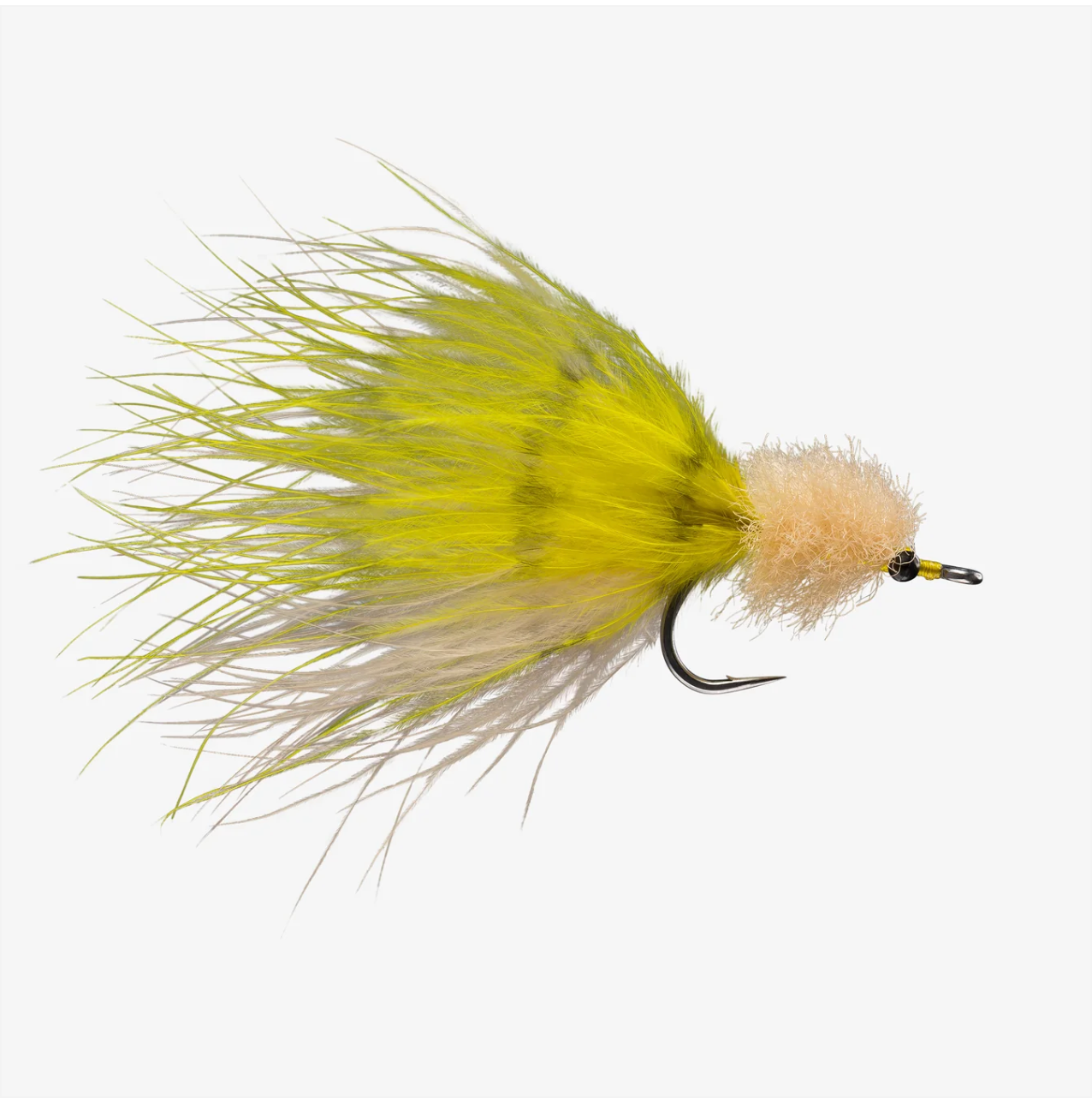 Marabou Toad