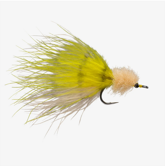 Marabou Toad