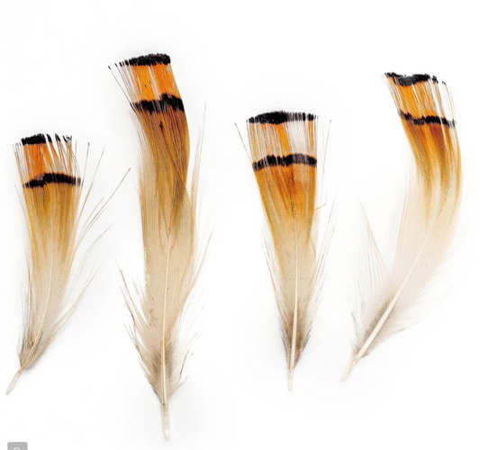 Pheasant Golden Plumage .04oz - Natural