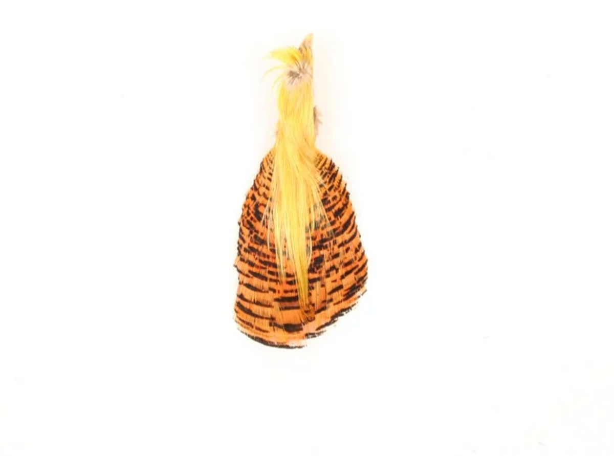 Golden Pheasant Pelt Selected First (Crest/Neck Only)