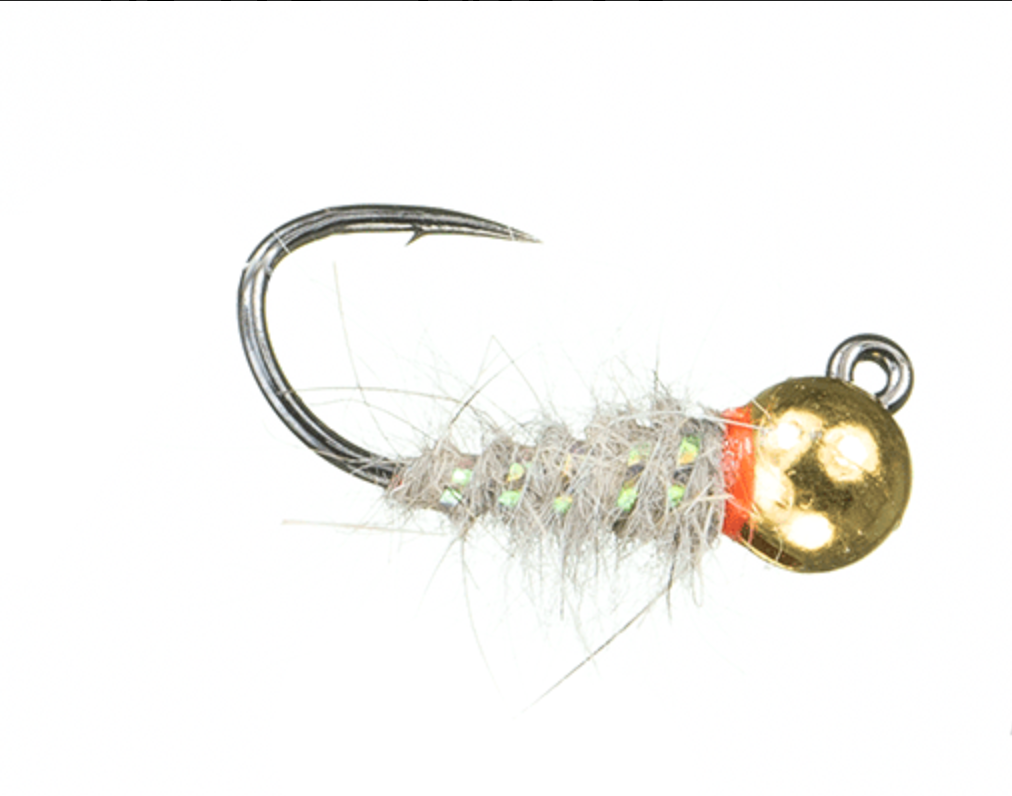 Sexy Walts Worm