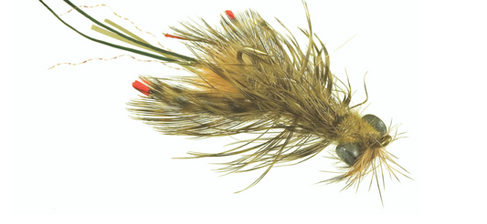 Near Nuff Crayfish