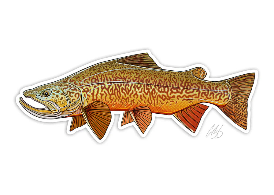 Casey Underwood Decals