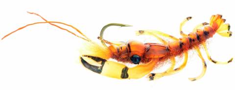 Realistic Crawyfish