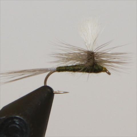 Parachute Blue Wing Olive (BWO)