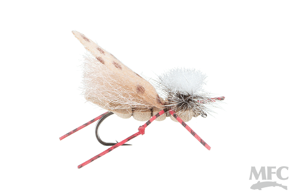 Kingfisher Hopper