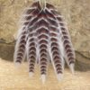 Galloup's Fish Feathers