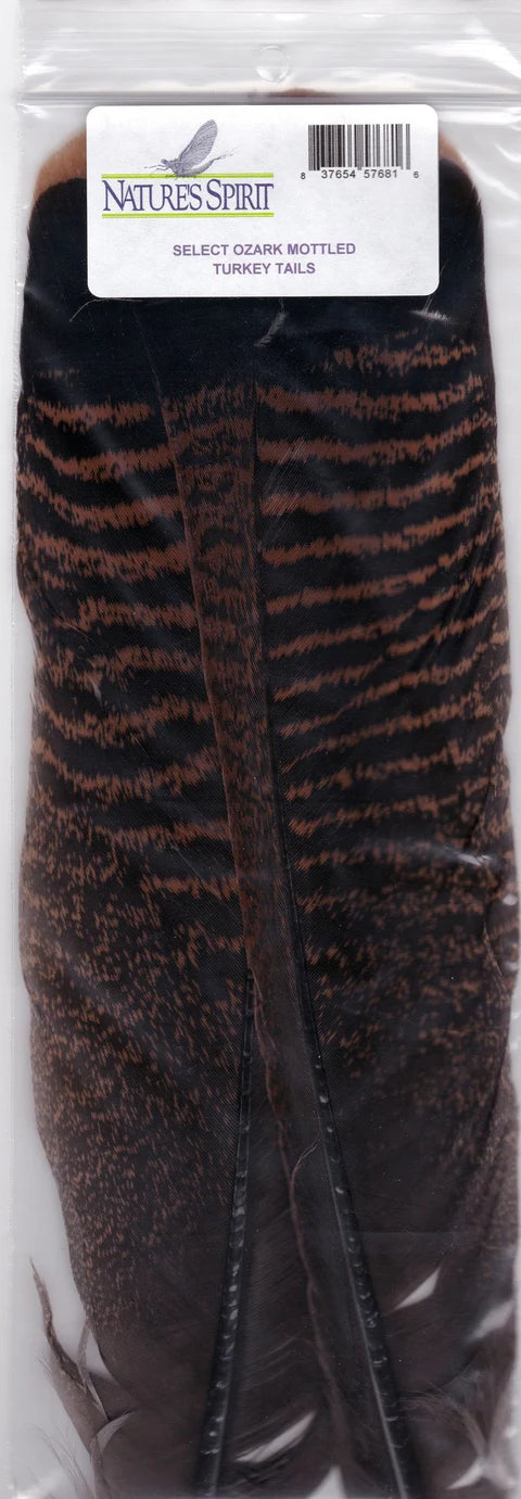 Ozark Mottled Turkey Tails