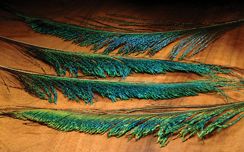 Hareline Peacock Swords