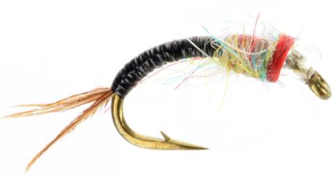 Rainbow Warrior