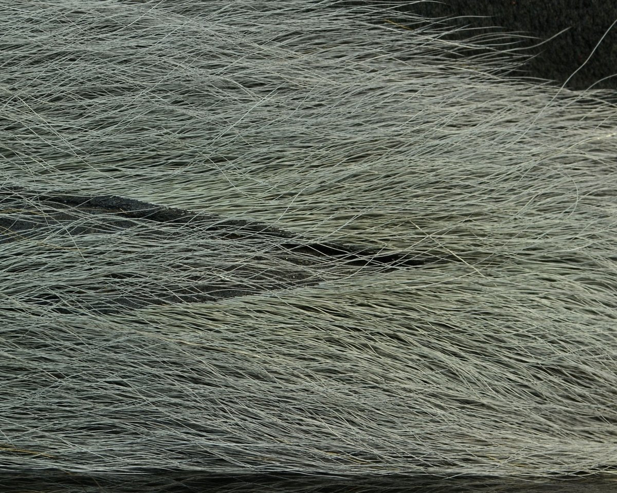 Nature's Spirit Select Bucktail