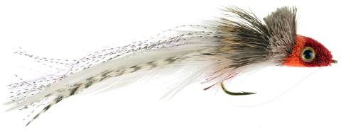 Swimming Baitfish (AKA Dahlberg Diver)