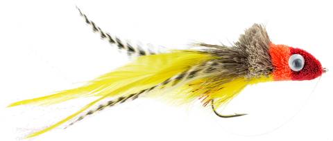 Swimming Baitfish (AKA Dahlberg Diver)