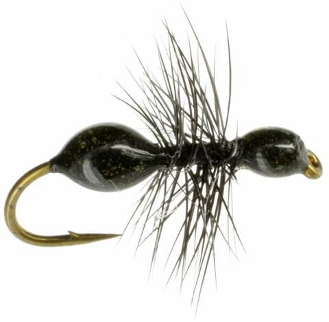 Transpar-ant