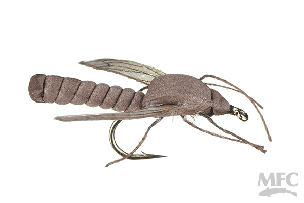 True Cranefly
