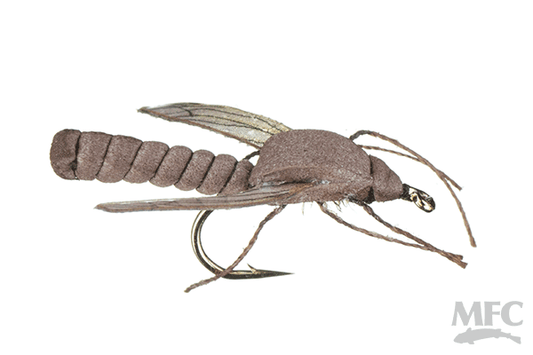 True Cranefly